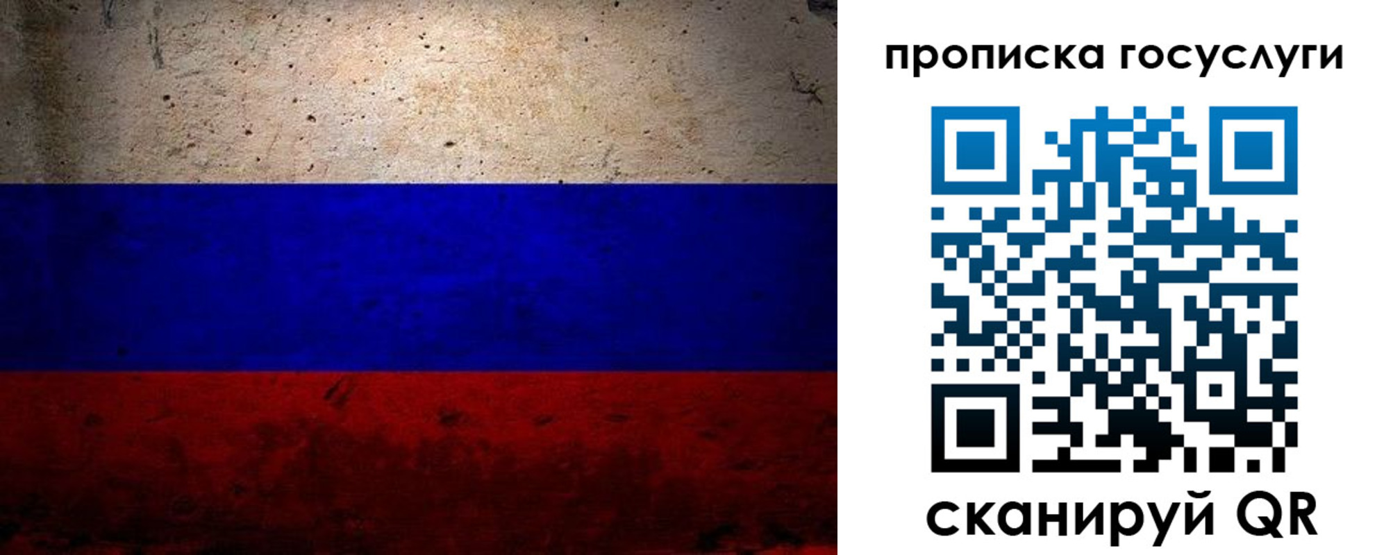 прописка иностранных граждан в Североморске